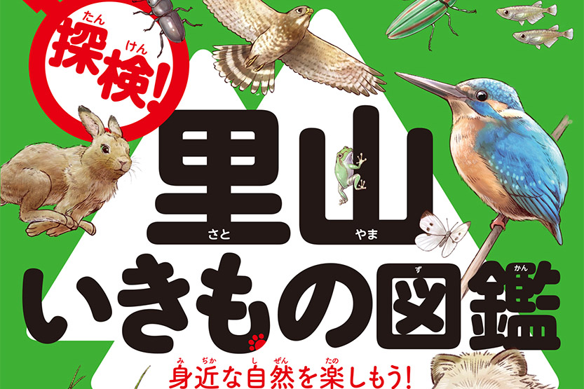 かわいいイラストが満載の『探検！里山いきもの図鑑』でキャンプが