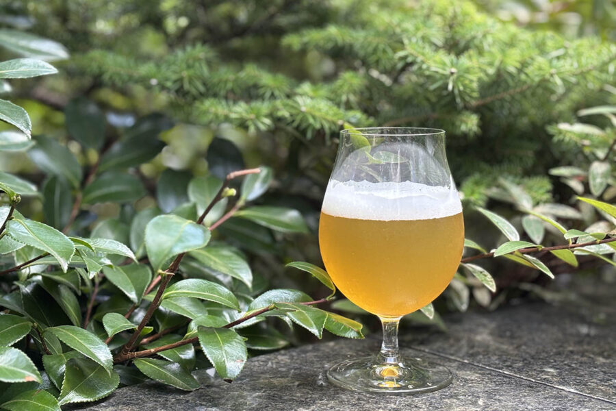 Forest Echo IPA