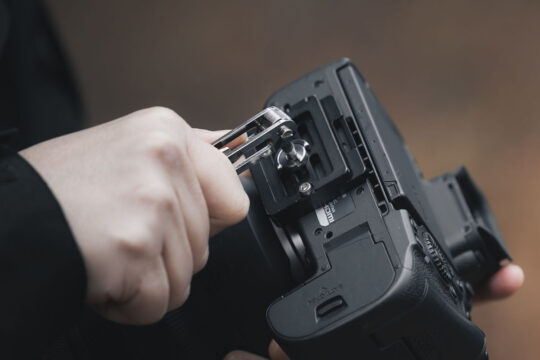 CSP(Captain Stag Photo)